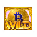 PG Crypto Gold Slot Machine Payouts Values - Wild Symbol