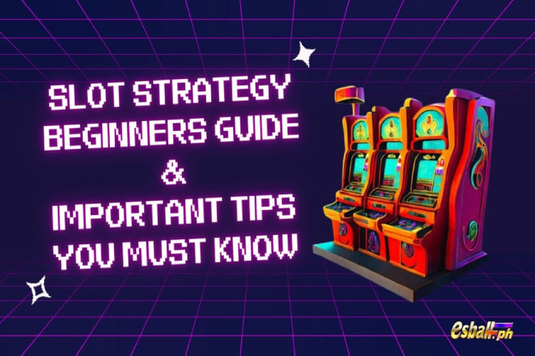 Slot Strategy Beginners Guide & Important Tips You Must Know