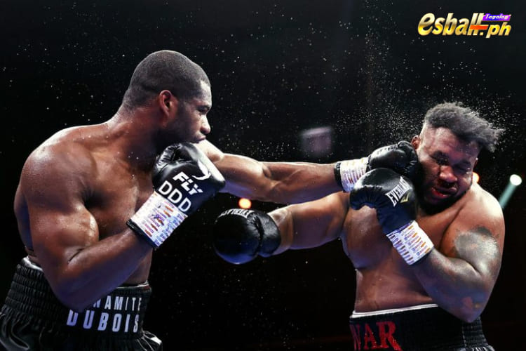 Recap Thrilling Matchups: Upcoming Boxing Fights in Dec 2023