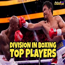 Ilang Dibisyon sa Boxing at kanilang N...